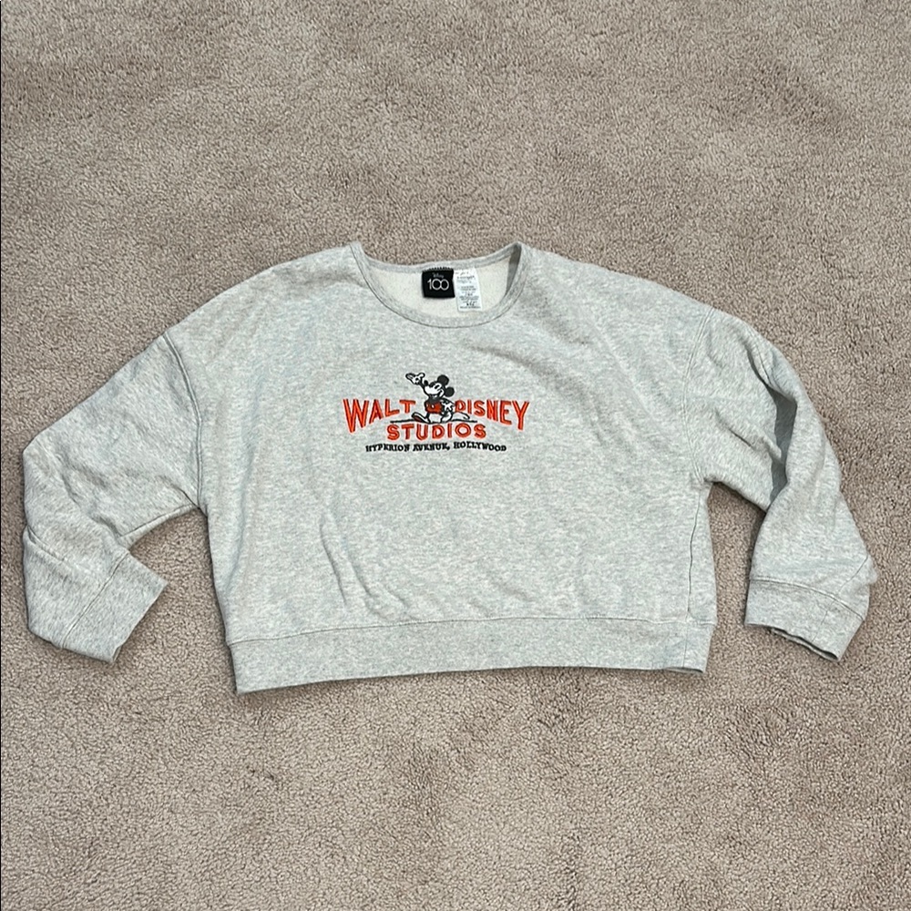 Walt Disney Studios Gray Cropped Sweatshirt
